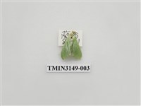 藏品(螟蛾300)的圖片